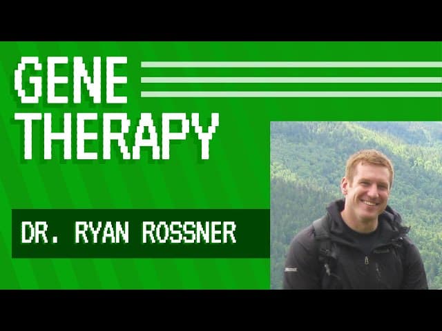 Gene Therapy with Minicircle