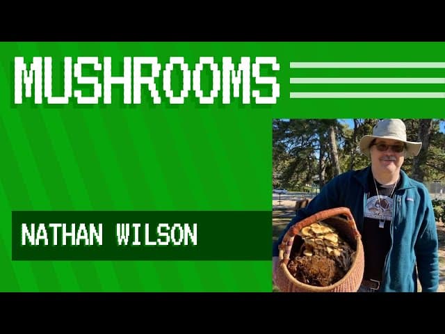 Mushroom Observer